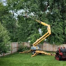 Best Landscape Design and Installation  in Somerville, NJ